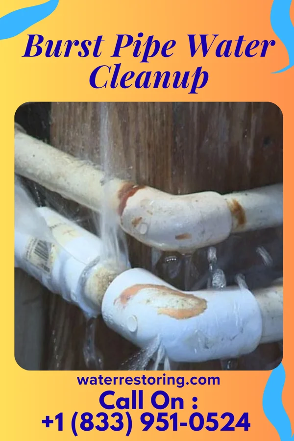Burst Pipe Water Cleanup in Chesapeake Landing, MD