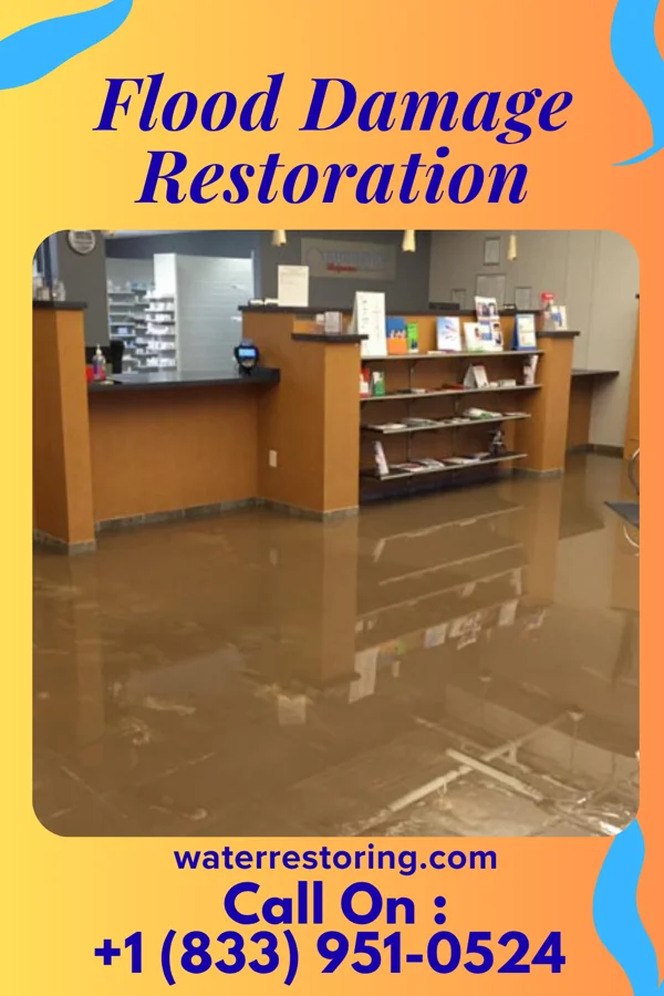 Flood Damage Restoration in Chesapeake Landing, MD