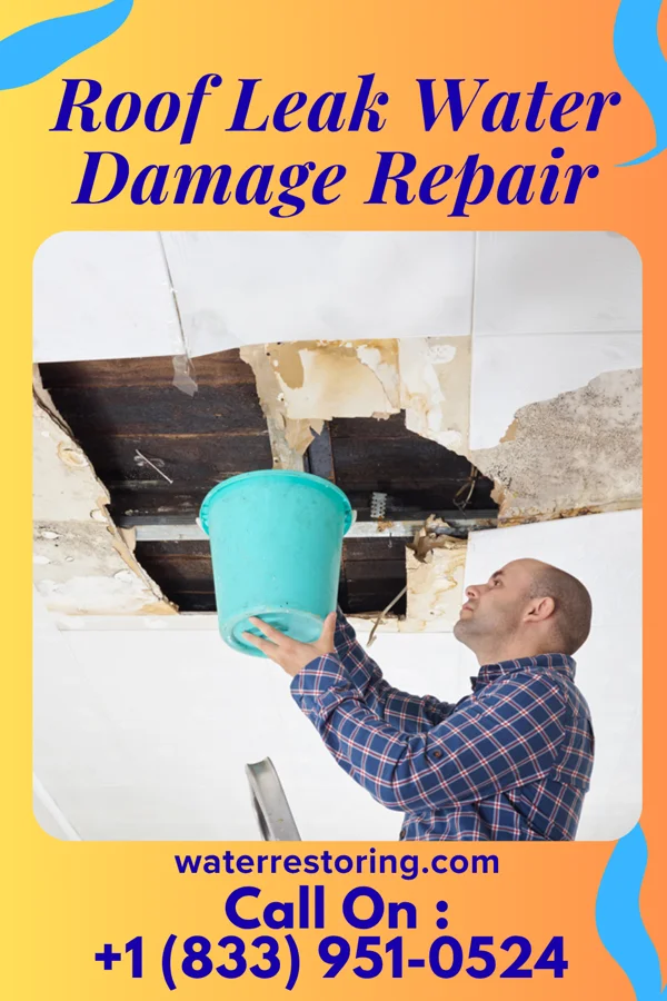 Roof Leak Water Damage Repair in Chesapeake Landing, MD