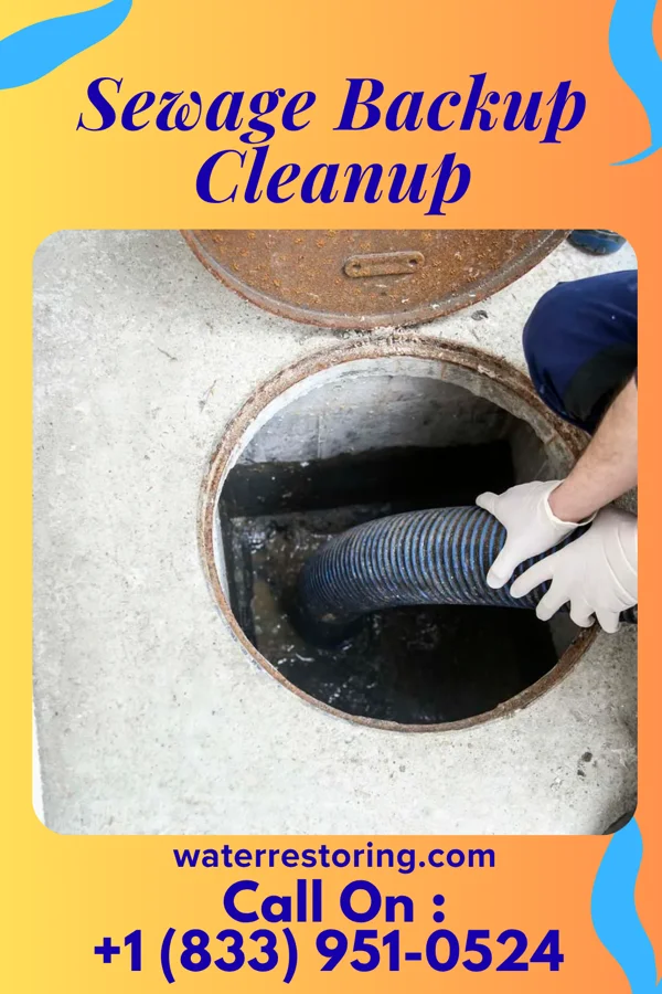 Sewage Backup Cleanup in Chesapeake Landing, MD