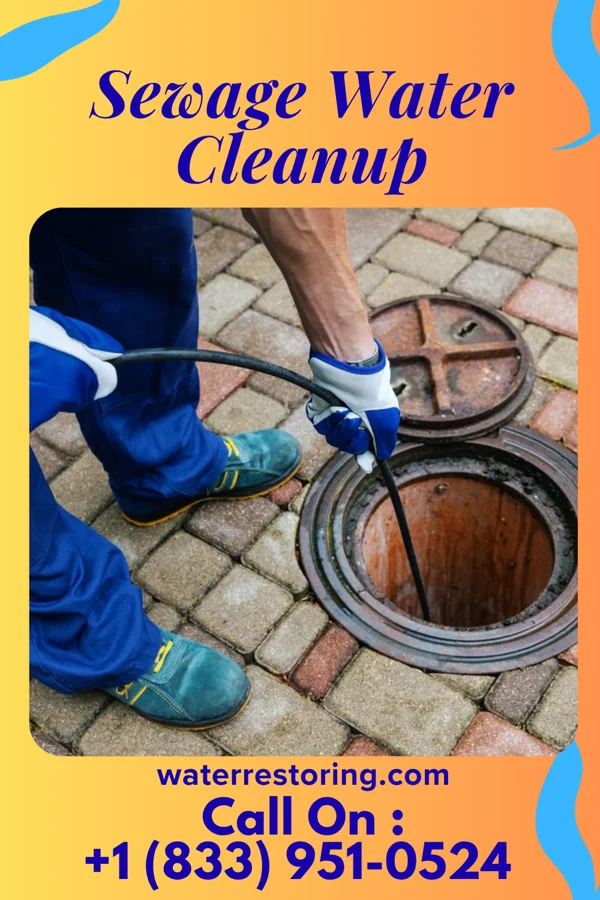 Sewage Water Cleanup in Chesapeake Landing, MD